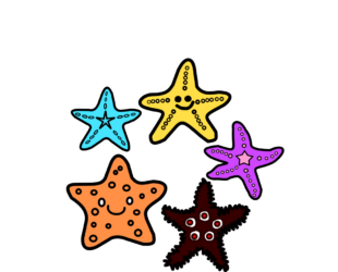 Seastar Diving